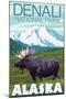 Moose Scene, Denali National Park, Alaska-Lantern Press-Mounted Art Print