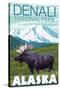 Moose Scene, Denali National Park, Alaska-Lantern Press-Stretched Canvas