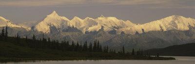 https://imgc.allpostersimages.com/img/posters/moose-standing-on-a-frozen-lake-wonder-lake-denali-national-park-alaska-usa_u-L-P17ARC0.jpg?artPerspective=n