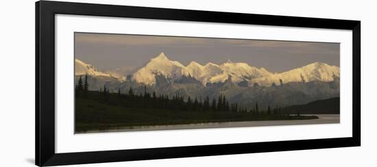 Moose Standing on a Frozen Lake, Wonder Lake, Denali National Park, Alaska, USA-null-Framed Photographic Print