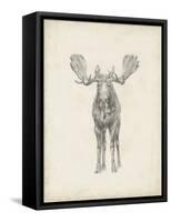 Moose Study-Ethan Harper-Framed Stretched Canvas