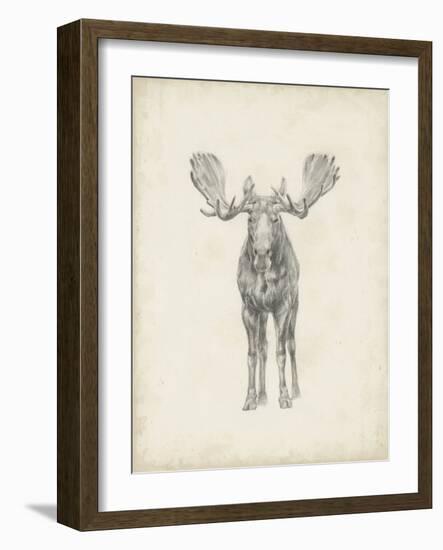 Moose Study-Ethan Harper-Framed Art Print