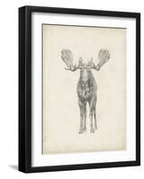 Moose Study-Ethan Harper-Framed Art Print