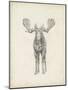 Moose Study-Ethan Harper-Mounted Art Print