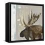 Moose Tails I-Aimee Wilson-Framed Stretched Canvas
