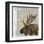Moose Tails I-Aimee Wilson-Framed Art Print