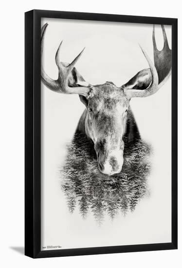 Moose - Trees-Trends International-Framed Poster