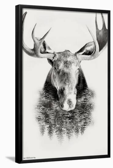 Moose - Trees-Trends International-Framed Poster