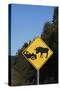Moose Warning Traffic Sign-null-Stretched Canvas