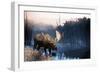 Moose-null-Framed Art Print