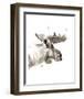 Moose-Philippe Debongnie-Framed Art Print