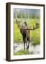 Moose-null-Framed Premium Photographic Print