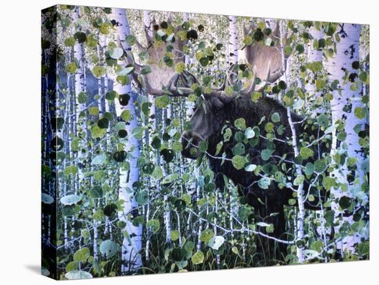 Moose-Jeff Tift-Stretched Canvas
