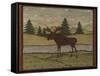 Moose-Robin Betterley-Framed Stretched Canvas