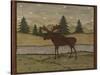 Moose-Robin Betterley-Stretched Canvas