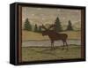 Moose-Robin Betterley-Framed Stretched Canvas