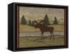 Moose-Robin Betterley-Framed Stretched Canvas