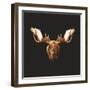 Moose-Lora Kroll-Framed Art Print