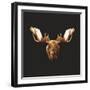 Moose-Lora Kroll-Framed Art Print
