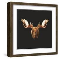 Moose-Lora Kroll-Framed Art Print