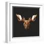 Moose-Lora Kroll-Framed Art Print