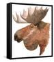 Moose-Jeannine Saylor-Framed Stretched Canvas