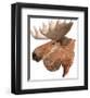 Moose-Jeannine Saylor-Framed Art Print