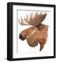 Moose-Jeannine Saylor-Framed Art Print