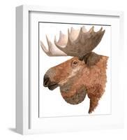 Moose-Jeannine Saylor-Framed Art Print