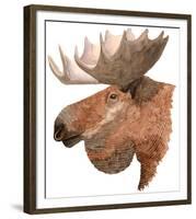 Moose-Jeannine Saylor-Framed Art Print