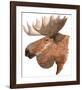 Moose-Jeannine Saylor-Framed Art Print