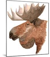 Moose-Jeannine Saylor-Mounted Art Print