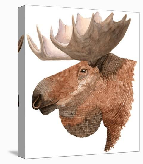 Moose-Jeannine Saylor-Stretched Canvas