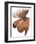 Moose-Jeannine Saylor-Framed Art Print