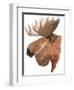 Moose-Jeannine Saylor-Framed Art Print