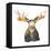 Moose-Kathy Ferguson-Framed Stretched Canvas