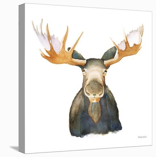 Moose-Kathy Ferguson-Stretched Canvas