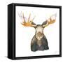 Moose-Kathy Ferguson-Framed Stretched Canvas