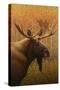 Moose-James W. Johnson-Stretched Canvas