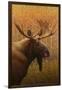 Moose-James W. Johnson-Framed Giclee Print