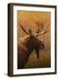 Moose-James W. Johnson-Framed Giclee Print