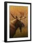 Moose-James W. Johnson-Framed Giclee Print