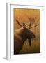 Moose-James W. Johnson-Framed Premium Giclee Print