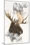 Moose-Barbara Keith-Mounted Giclee Print