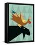 Moose-Marie Sansone-Framed Stretched Canvas