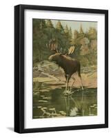 Moose-Oliver Kemp-Framed Art Print