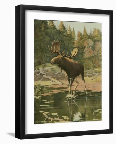 Moose-Oliver Kemp-Framed Art Print