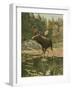 Moose-Oliver Kemp-Framed Art Print