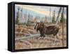Moose-Ron Jenkins-Framed Stretched Canvas