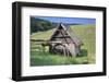 Mooswaldmühle, Black Forest, Baden-Wurttemberg, Black Forest-Markus Lange-Framed Photographic Print